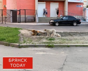 � �������� ����������� �������� ��� �� ������� ������ ���� �����