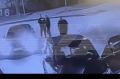 �������� ���������� ������ ��������� �� �������� �������� ������ �� �����