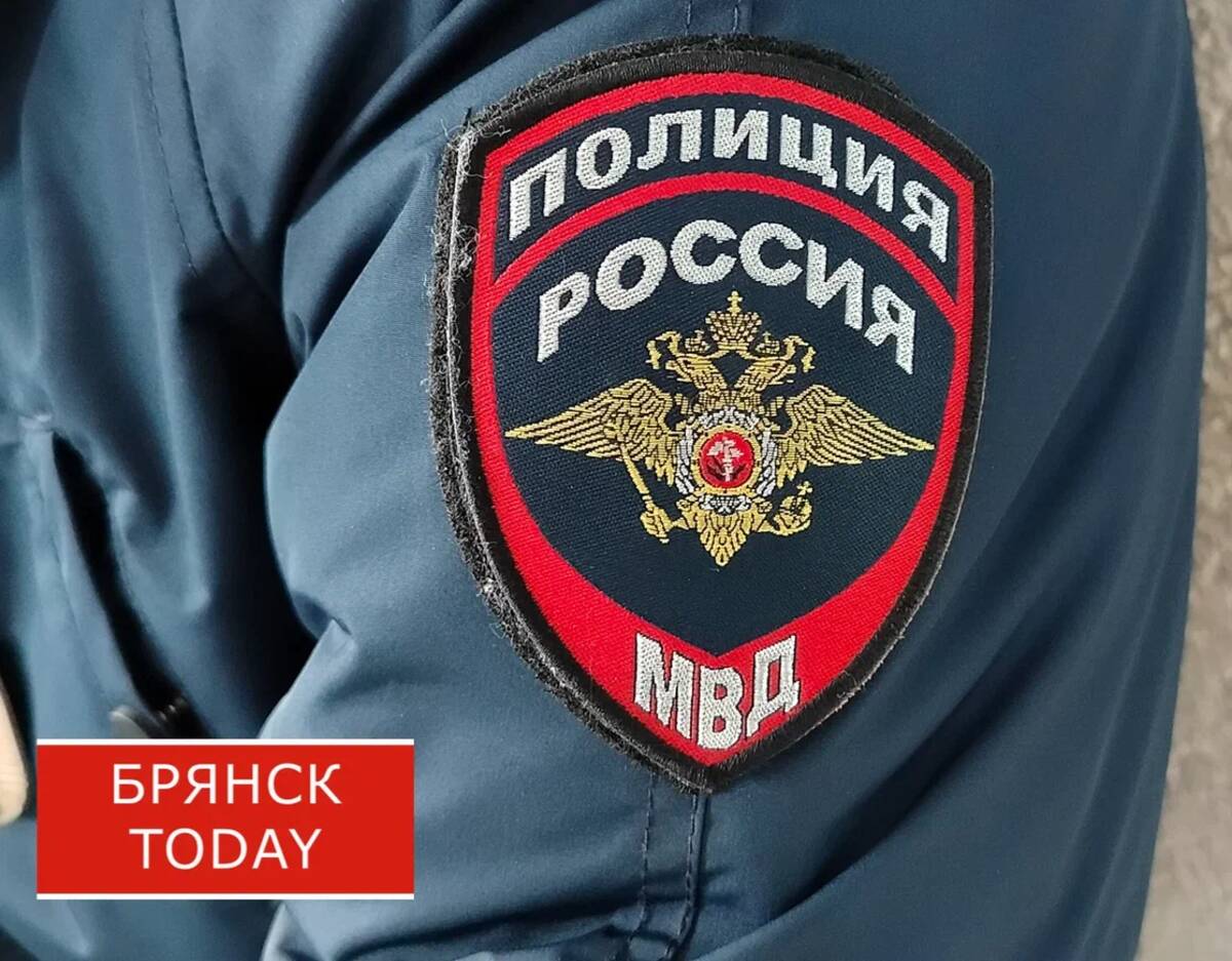 В Жуковке вор-рецидивист украл у пенсионерки триммер и флягу
