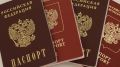 Клинчанка схлопотала срок за помощь в нелегальном въезде мигрантов из Сирии