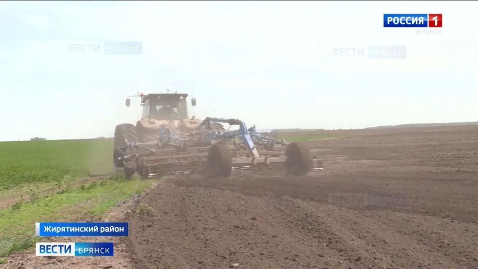 В Брянской области завершается посадка картофеля