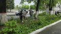 ����������� ������ �������� ���������� ������� ������� �� ������������� ���������� ������� �����