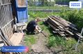��������� ������ ������� ������� ��������� �� ���������� ��� ��������� ��� ������� ������ �������� ��������� ��������� � ������������ ������������� ��������, ��������, ������� �� ���������� ������ ��� ������� �� ����������...