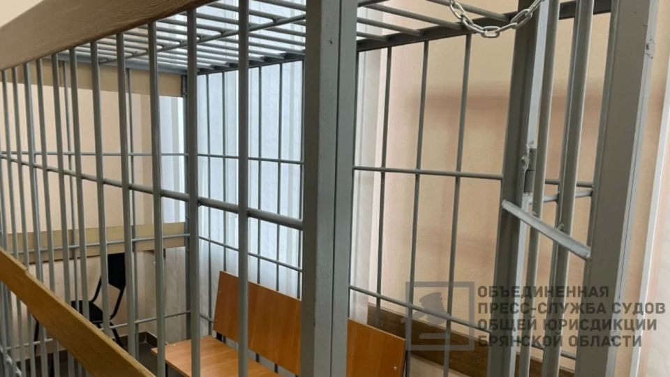 В Почепе суд заключил под стражу обвиняемого в нападении на полицейских