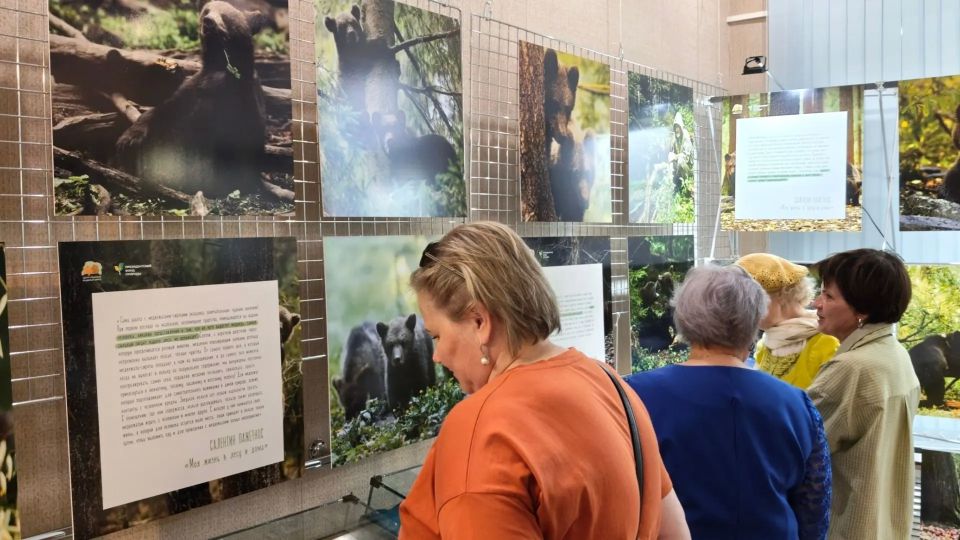 В Трубчевске открылась фотовыставка о спасении медвежат-сирот