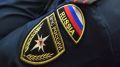 В Брянской области за сутки потушили 12 пожаров