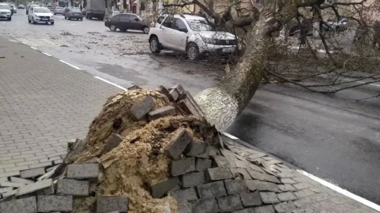 Брянщину накрыл штормовой ветер