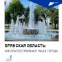 В Брянской области продолжается Всероссийское онлайн-голосование за объекты благоустройства