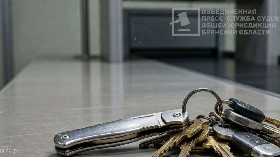 Житель Брянска оштрафован за пронос складного ножа в здание суда