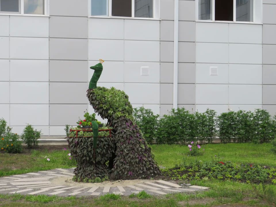 В Брянске пройдёт смотр-конкурс на лучшее благоустройство