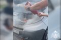 �������� ������������ ������� �������� ������������ ����������