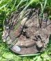 В Карачевском районе предотвратили взрыв