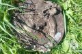 В Карачевском районе обезврежен взрывоопасный предмет времён ВОВ