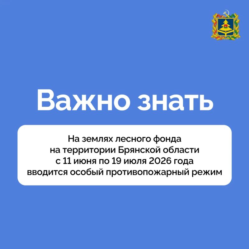 Подписано постановление Правительства Брянской области от 10 июня 2026 года № 251-п «О введении особого противопожарного режима в лесах»