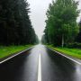 По данным Брянского гидрометцентра, 14 июня на территории Брянской области переменная облачность