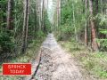 В Брянской области ввели особый противопожарный режим в лесах