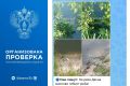 «Дохнет рыба в Десне»: прокуроры проверят информацию из соцсети