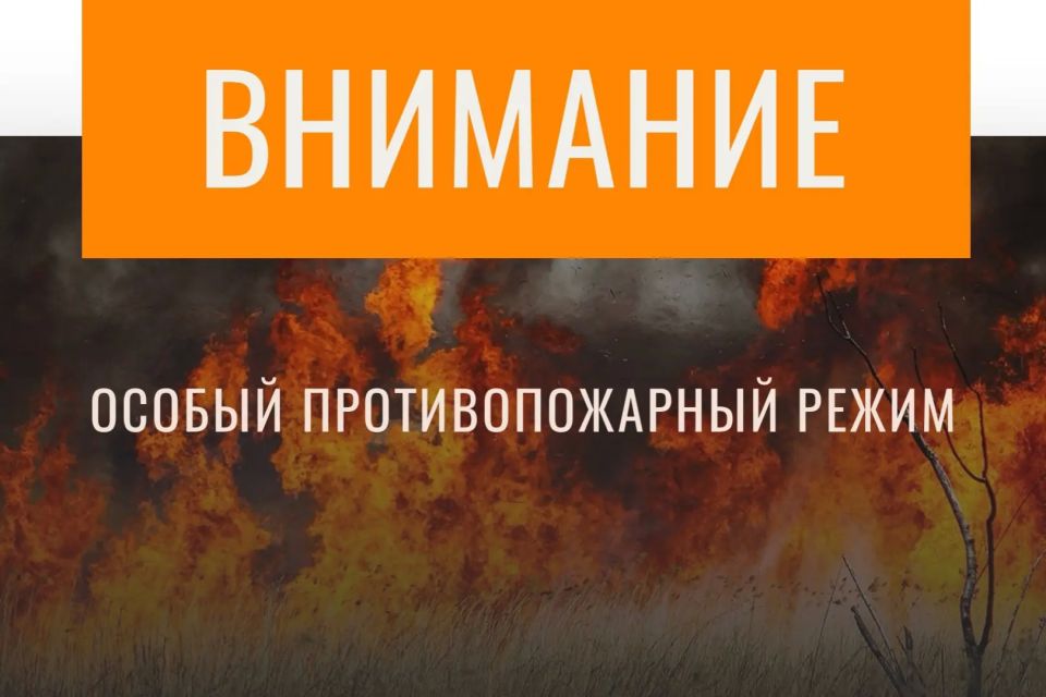 В лесах Брянской области введен особый противопожарный режим