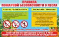 В Брянской области действует особый противопожарный режим в лесах