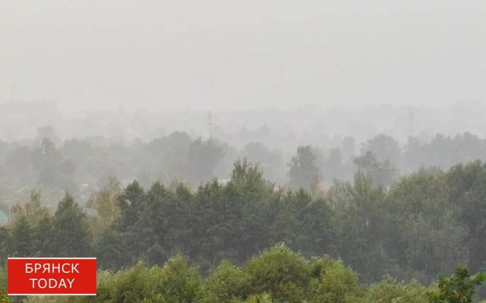 Грозы и град накроют Брянщину 17 июня