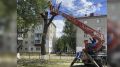 Пресс-служба отвечает. В паблике «Типичный Брянск» была размещена информация, в которой подписчики выражали беспокойство по поводу засохшего дерева на улице Чернышевского