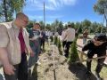 В Брянске выпускники техникума заложили Аллею выпускников