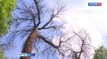 � ������� �������� 50 ������� ������