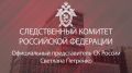 Следственный комитет установил причастных к атаке на автобус с белорусскими детьми в Брянской области