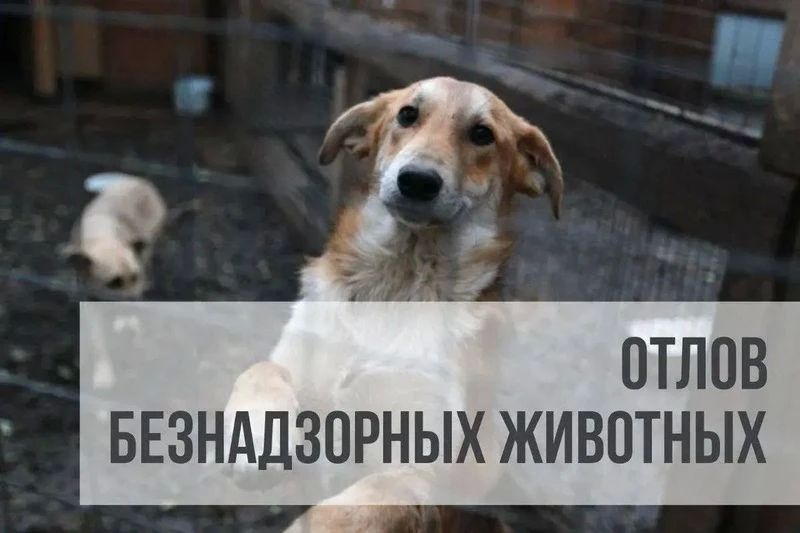 Уважаемые жители Стародубского муниципального округа!