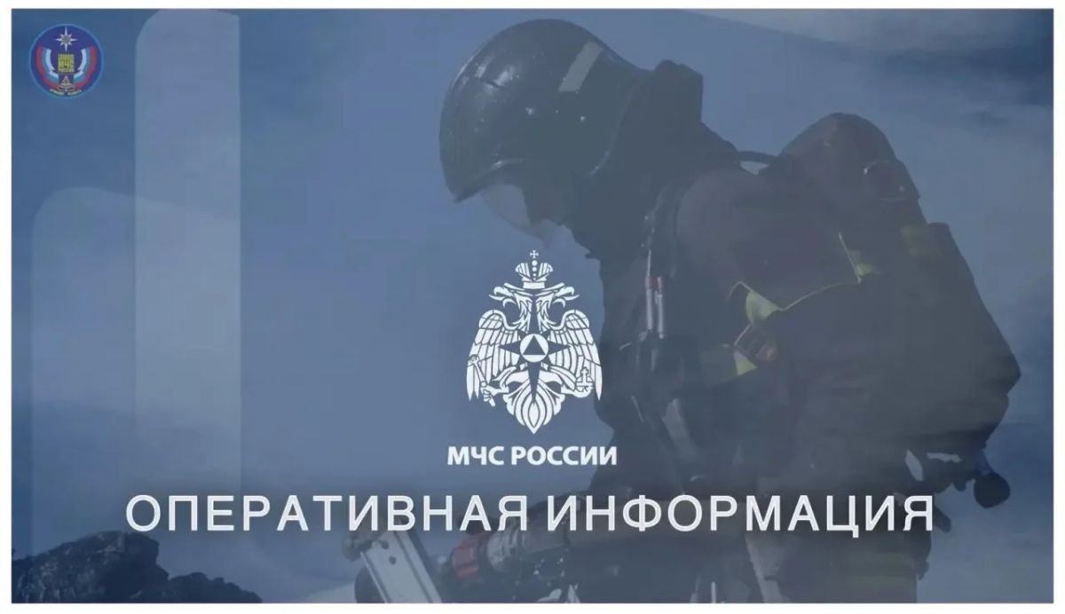 Трагедия на озере в Бежицком районе Брянска