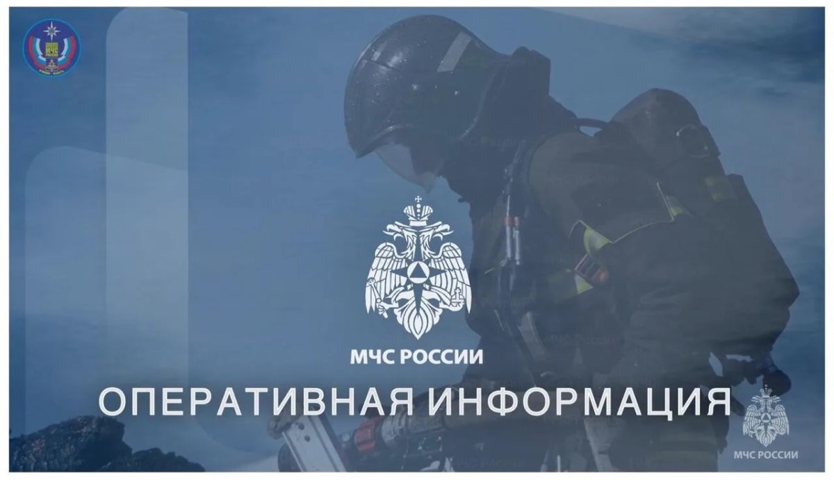 Трагедия на озере в Брянске: погиб 10-летний ребенок