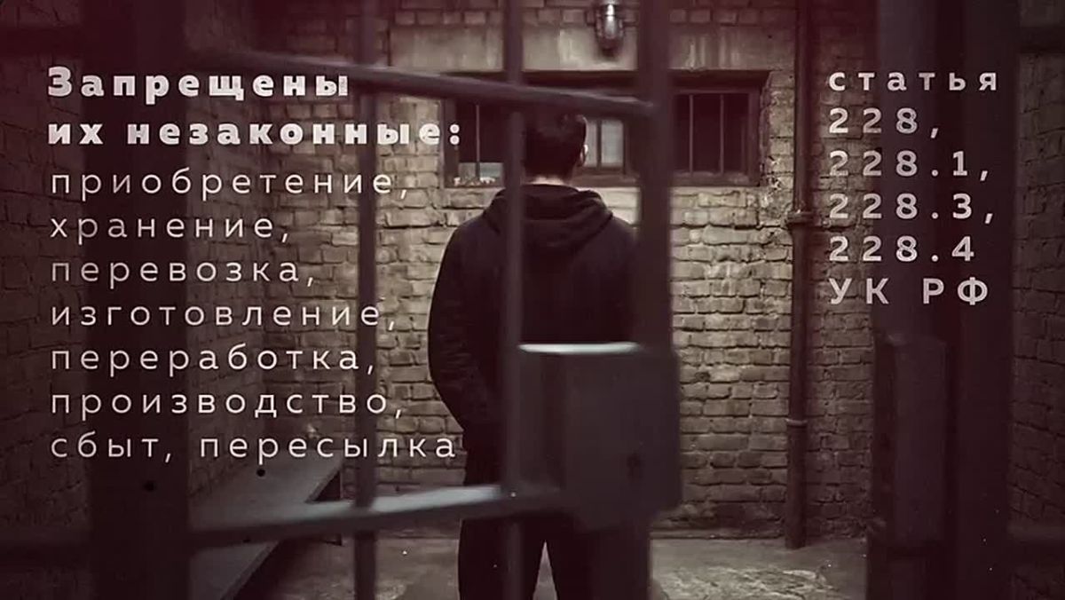 УМВД России по Брянской области напоминает