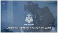 Трагедия на озере в Брянске: погиб 10-летний ребенок