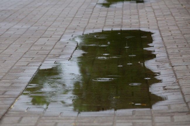 Тишковец порадовал уставших от жары брянцев обещанием холодного фронта
