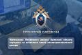 Жительница Почепского района Брянской области осуждена за истязание своей несовершеннолетней дочери