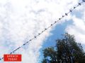 ��������� ����� ������� �����������: � ������� ������� ����� ��������� �����