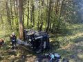 Под Брянском водитель Ford разбился об дерево