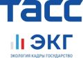 Пошаговое руководство: как проверить и повысить свой ЭКГ-рейтинг Шаг 1: Узнайте свой текущий рейтинг