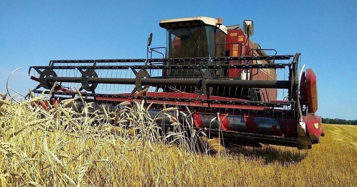 В Брянской области стартовала уборочная кампания