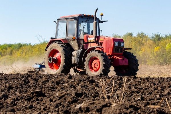 В Брянской области собрали 1250 тонн раннего картофеля