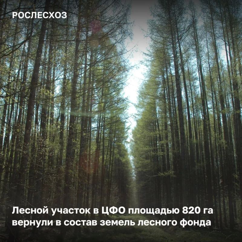 В Брянской и Калужской областях в состав земель лесного фонда вернули участок общей площадью 820 га