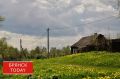 Брянских дачников предупредили об опасной инфекции от грызунов и клещей