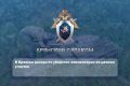 В Брянске раскрыто убийство пенсионерки на дачном участке