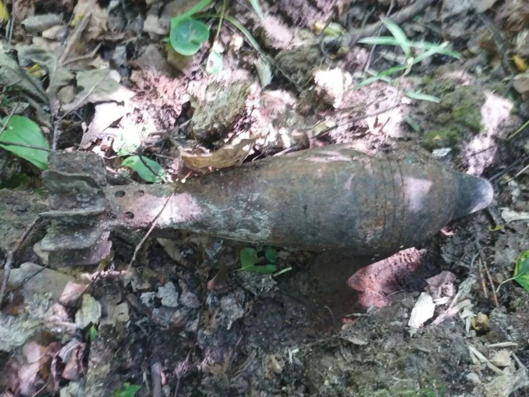 Чрезвычайное происшествие предотвратили в Фокинском районе Брянска