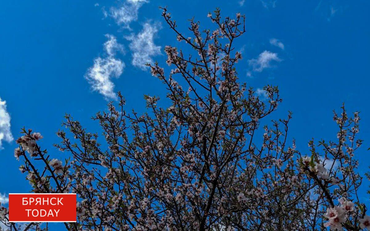 В Брянске громко: жители услышали сильный грохот в небе над городом