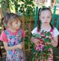 Всем береза нравится. Ведь она – красавица!