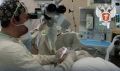 Микрохирургия помогла брянцу вернуть слух
