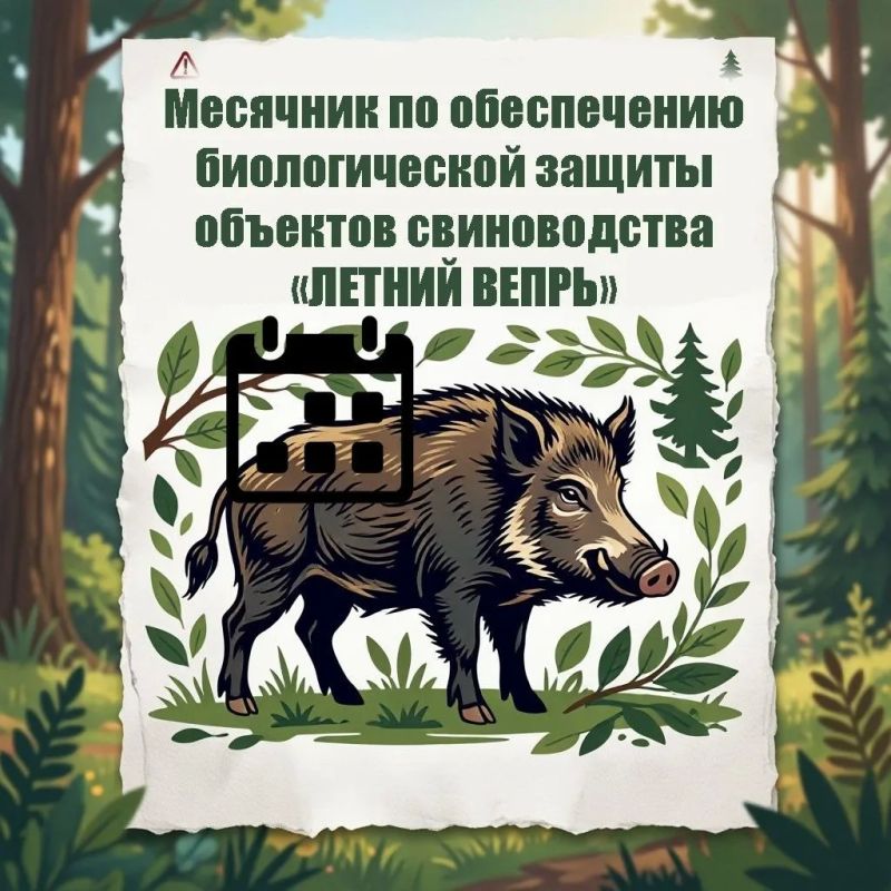 «Летний Вепрь». Месячник по обеспечению биологической защиты объектов свиноводства «ЛЕТНИЙ ВЕПРЬ»