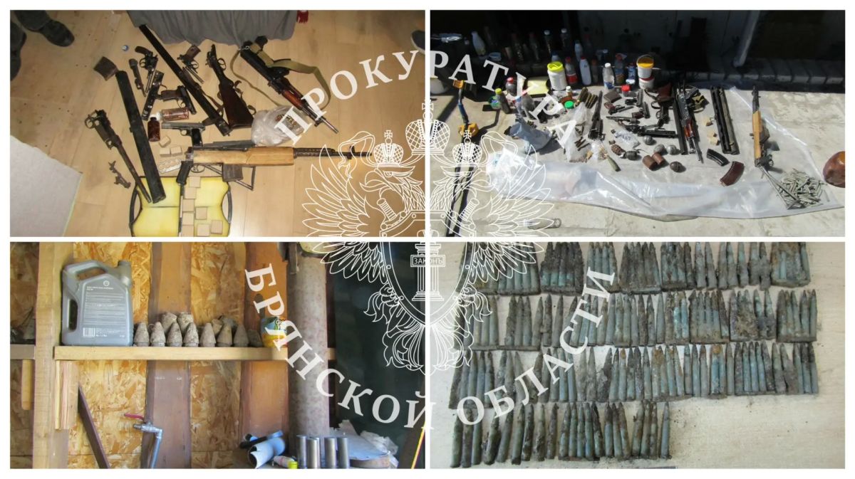 В Брянском районе лишен свободы местный житель за незаконный оборот огнестрельного оружия, его основных частей и боеприпасов