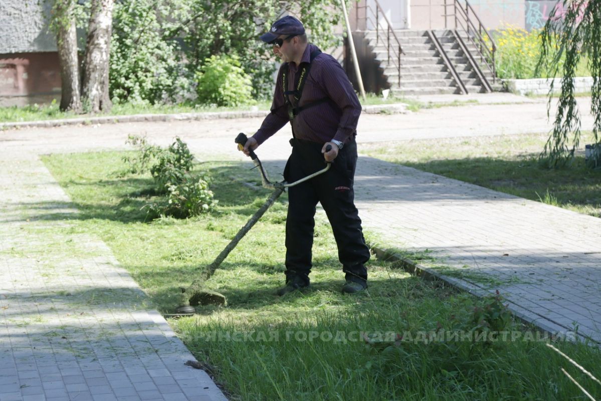 Брянске за день скосили почти 84 тысячи квадратных метров травы